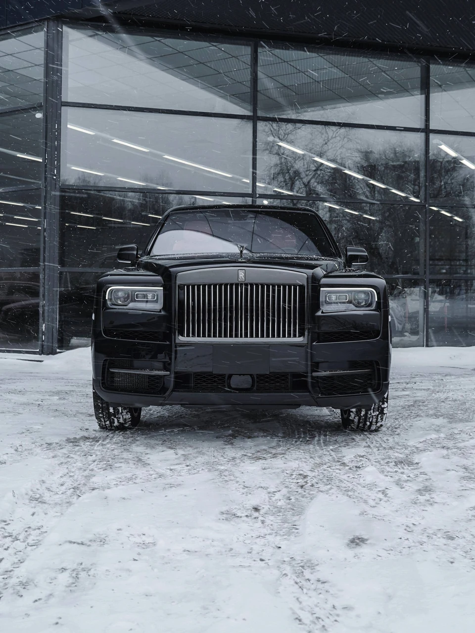 Rolls-Royce Cullinan: защита салона, фото 1